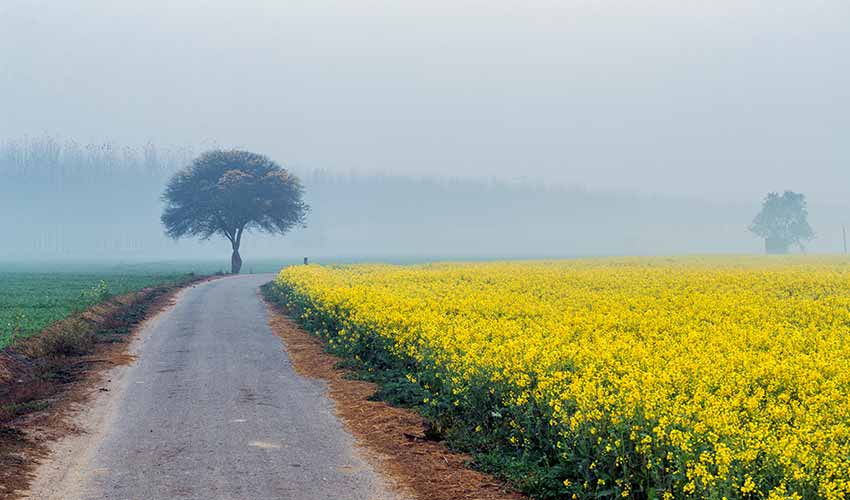 Exploring the Hidden Treasures of Punjab