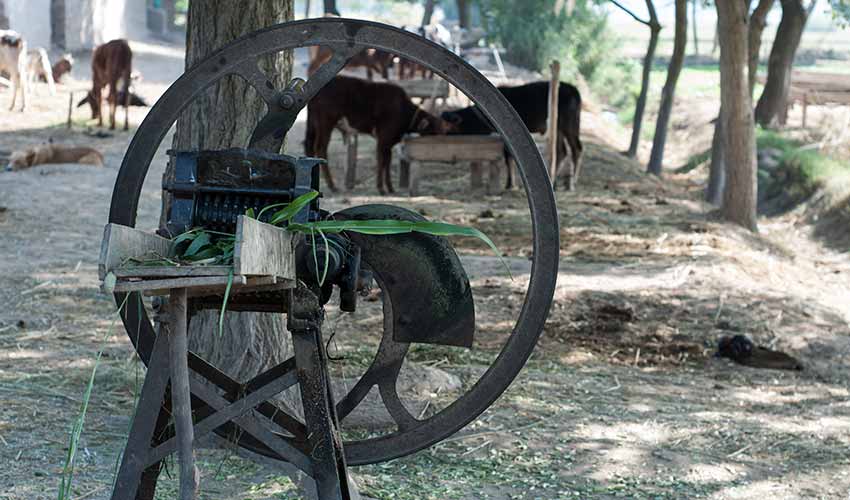 Exploring the Hidden Treasures of Punjab