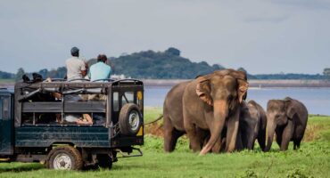 Must_Do_Wildlife_Experiences_in_Sri_Lanka_1