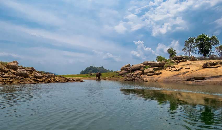 Experiências de Vida Selvagem no Sri Lanka