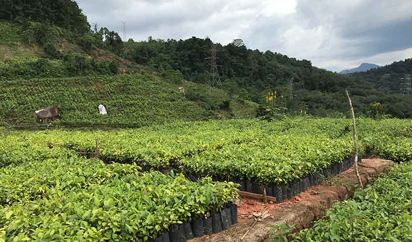 Experiências únicas no Sri Lanka