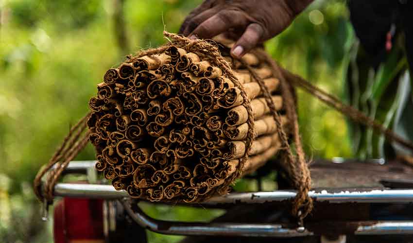 Unique Experiences in Sri Lanka