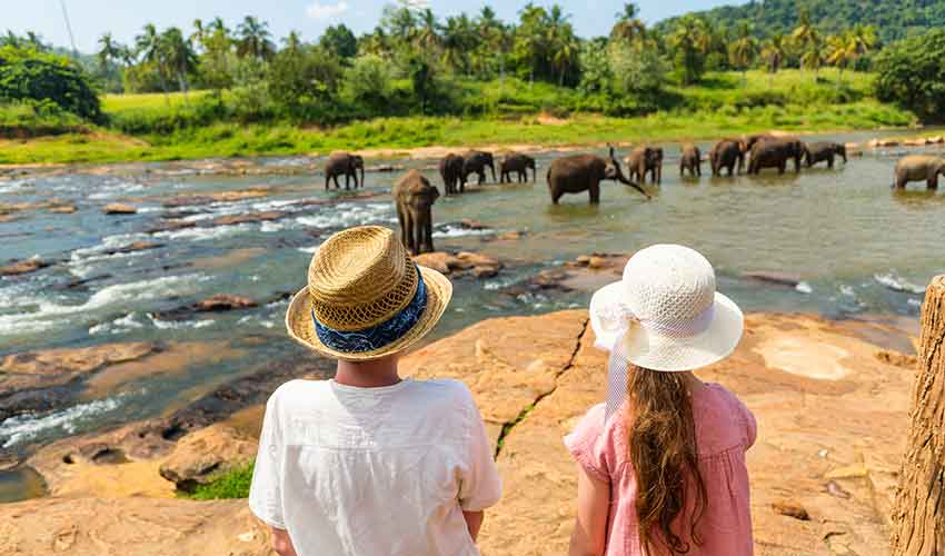 Unique Experiences in Sri Lanka