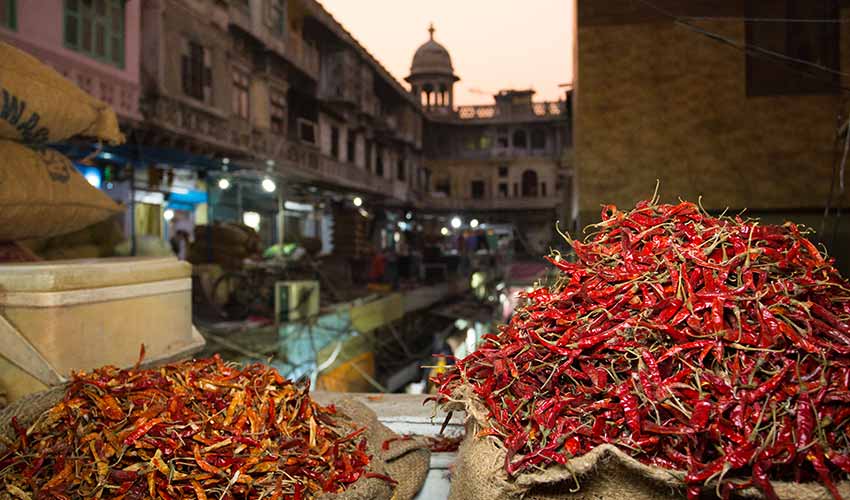 Shopping in India to market, to market