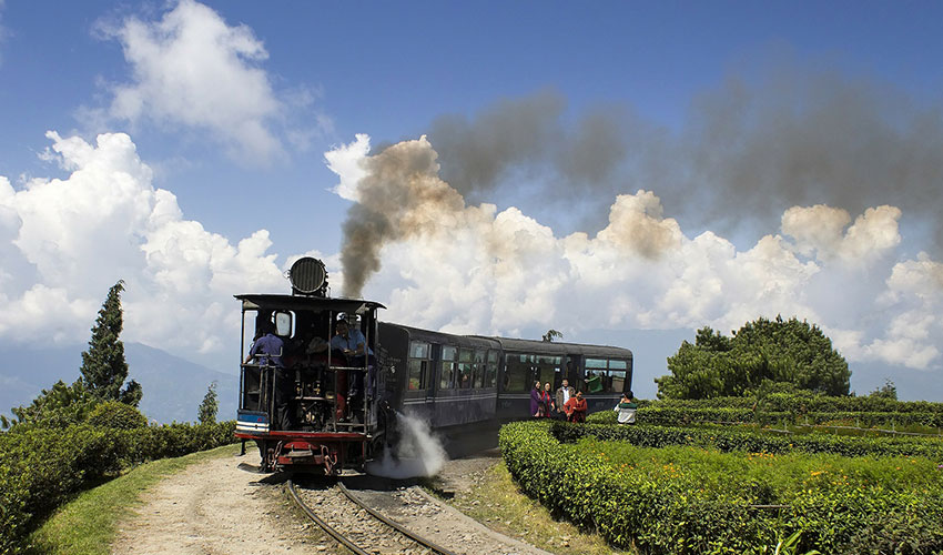 Toy Train Darjeeling