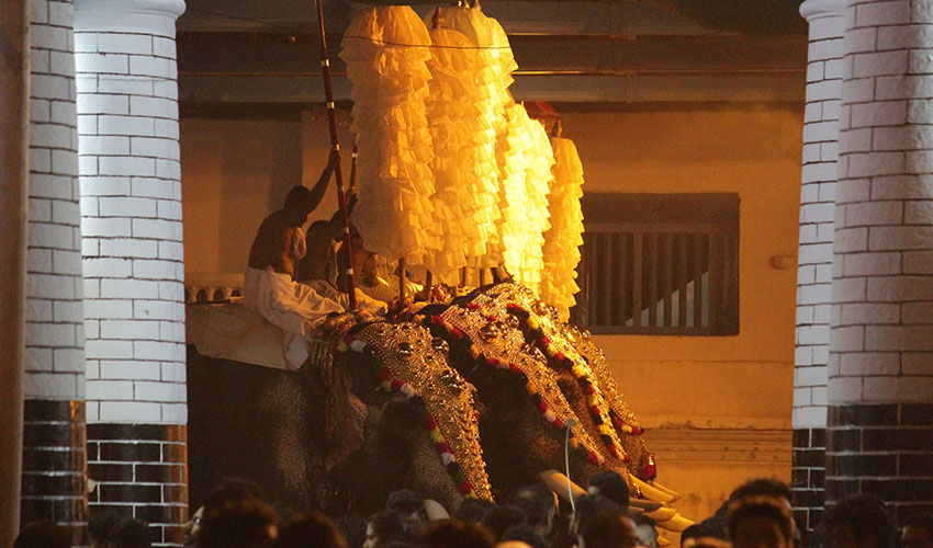 Temple Festivals of Kerala