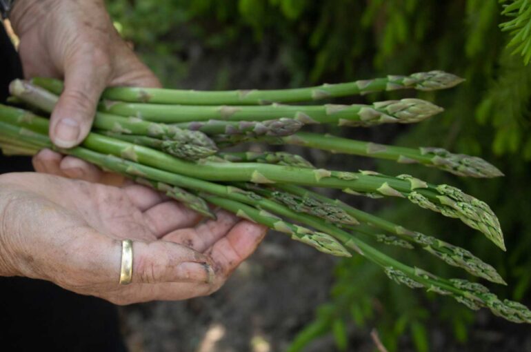 Comer no local como um local
