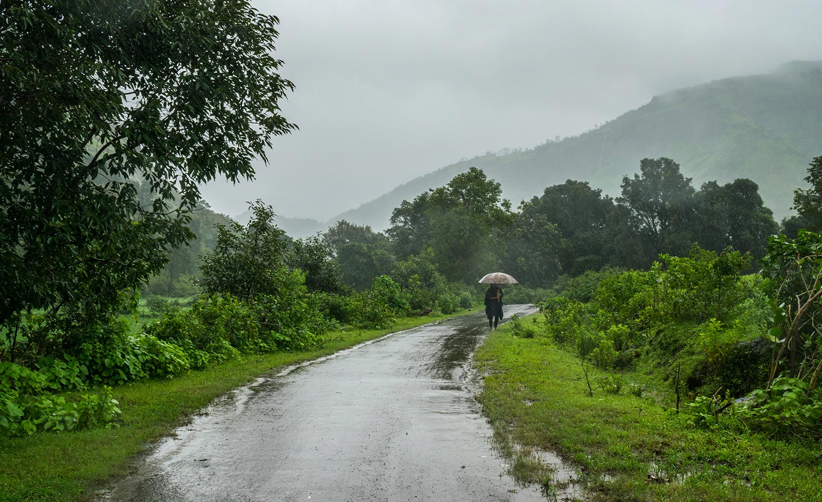 Monsoon Story