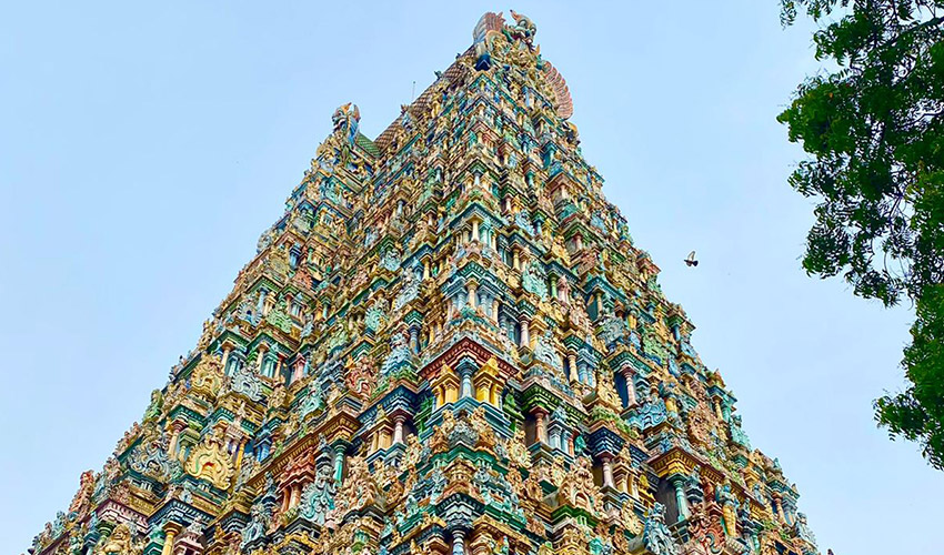 De Cochin à Chennai en 7 jours