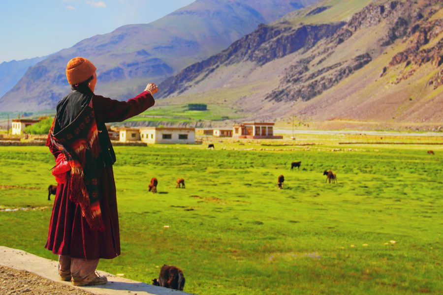 Das Land der hohen Pässe: Leh & Ladakh