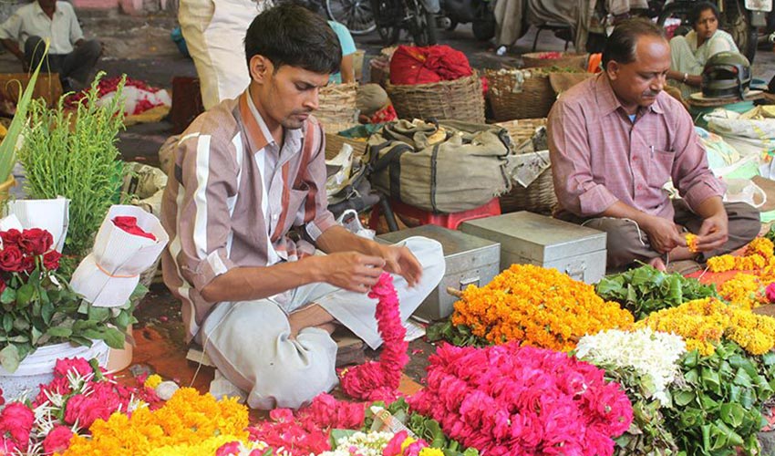 10 Dinge, die Sie nicht über Jaipur wussten