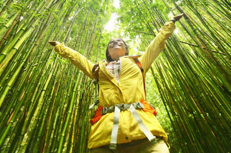 Verantwortungsvoller-Tourismus-Indien