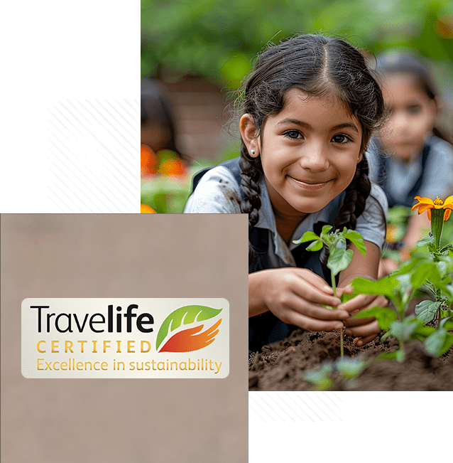 sustainability-right-1